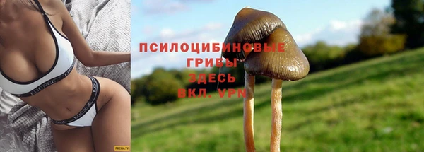 крисы Алексин