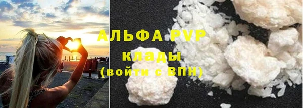 крисы Алексин