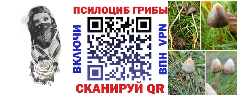 где продают наркотики  Хотьково  Псилоцибиновые грибы Magic Shrooms 